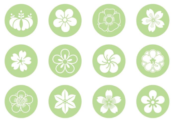 Cercle Floral Pack Vector