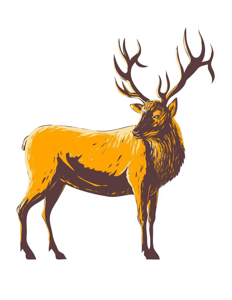 wapiti cervus canadensis ou wapiti vu de côté wpa poster art vecteur