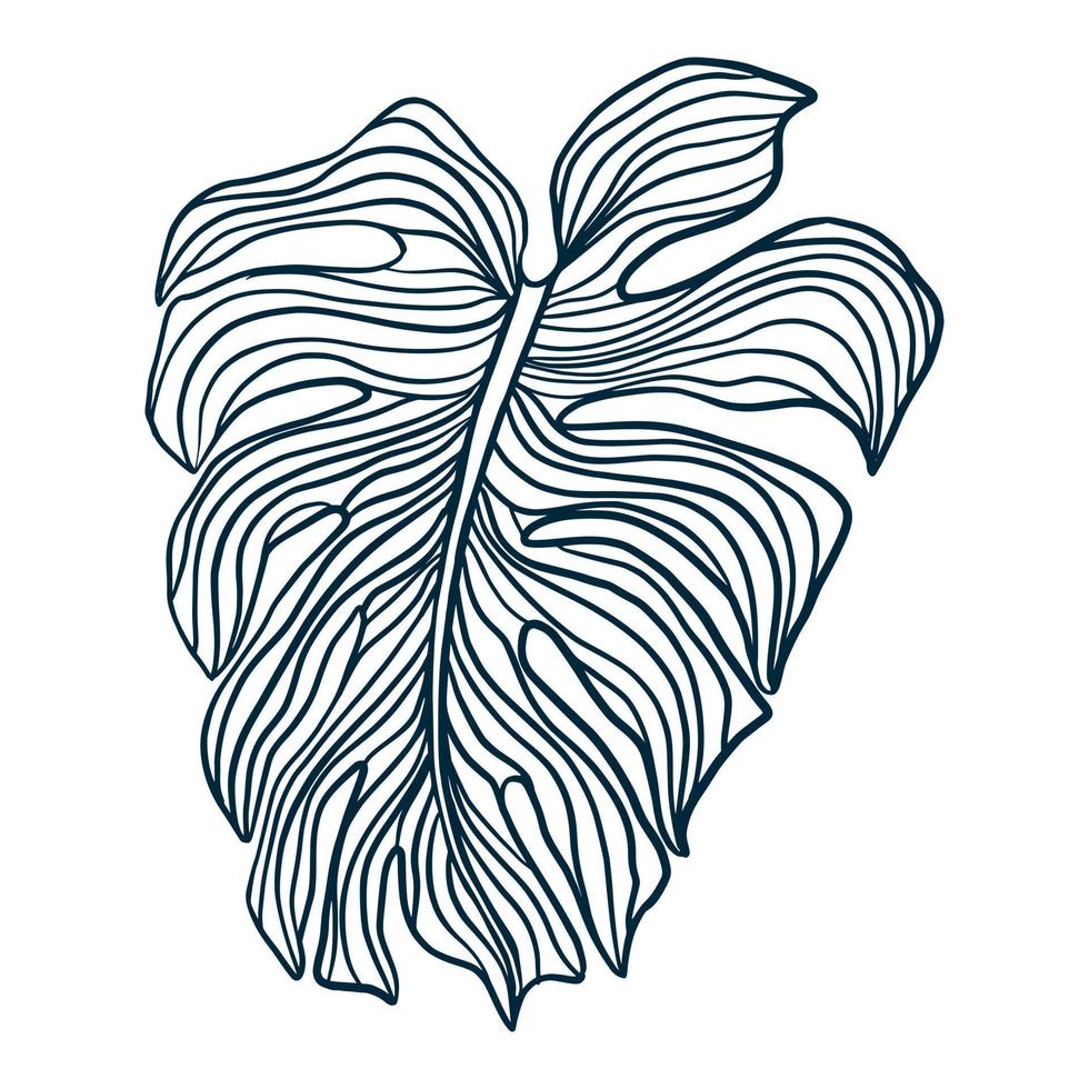 contour des feuilles de la plante monstera. feuille de palmier tropical vecteur