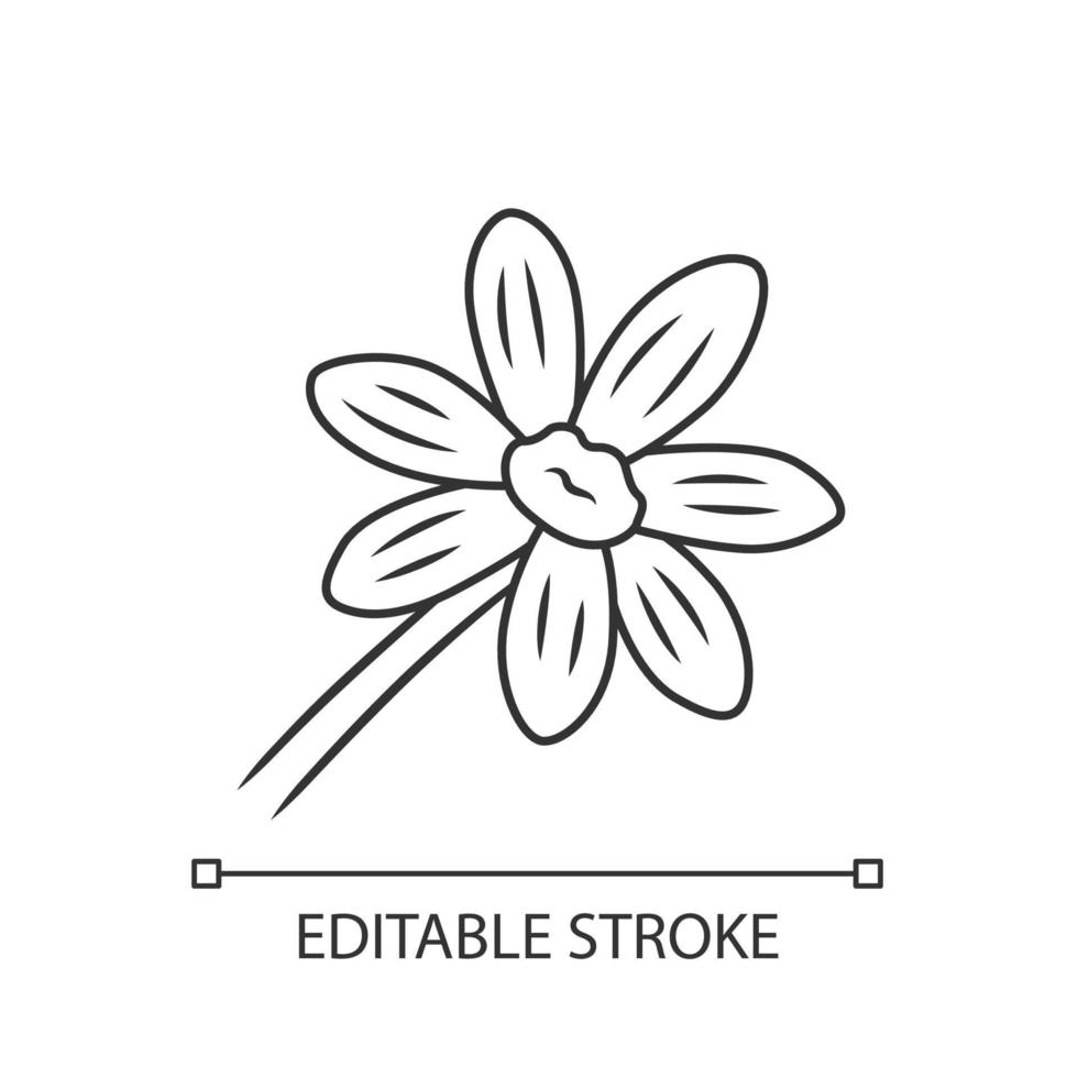 icône linéaire de coréopsis. illustration de la ligne mince. fleur de jardin de rudbeckia. plante de calliopsis. marguerite en fleurs, fleur sauvage de camomille. symbole de contour. dessin de contour isolé de vecteur. trait modifiable vecteur