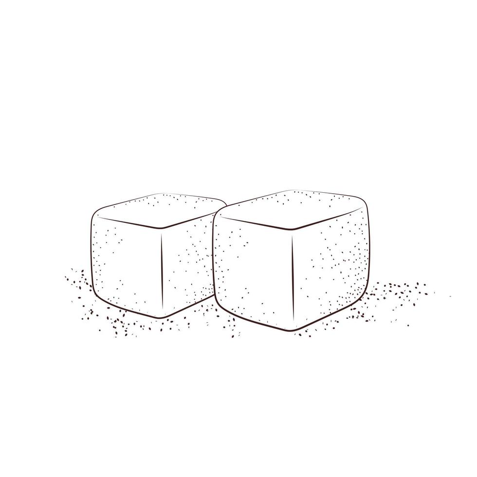 cubes de sucre dessinés à la main. deux morceaux de sucre blanc isolés vecteur