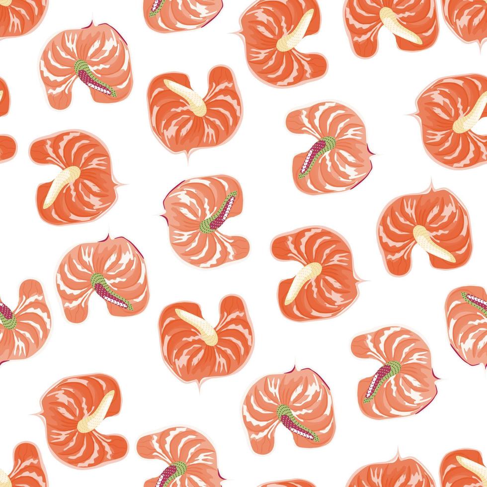 motif abstrait de fleurs d'anthurium sans couture isolé sur fond blanc. vecteur