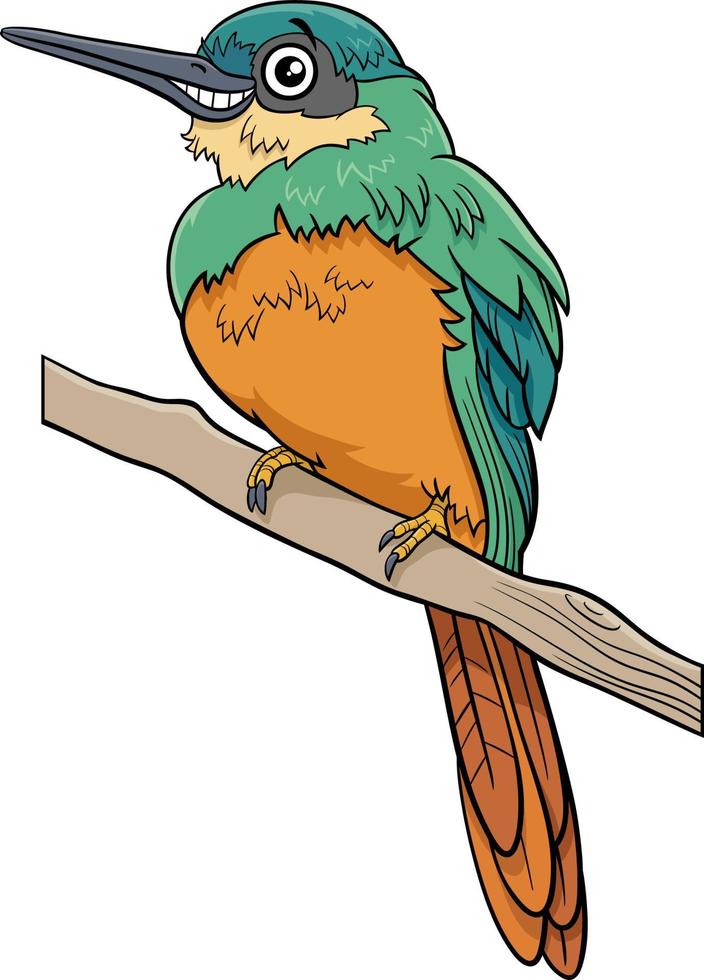 illustration de dessin animé de personnage animal oiseau jacamar vecteur