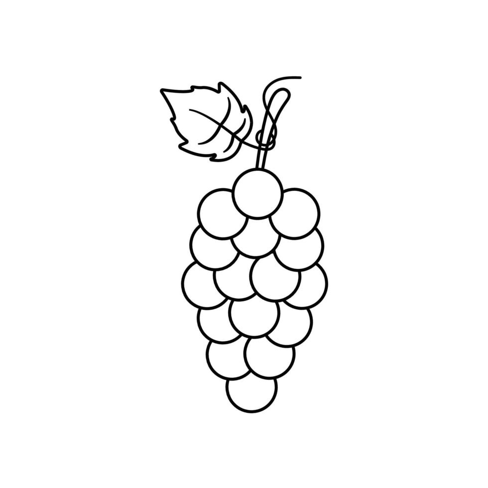 icône de contour de raisin sur fond blanc vecteur