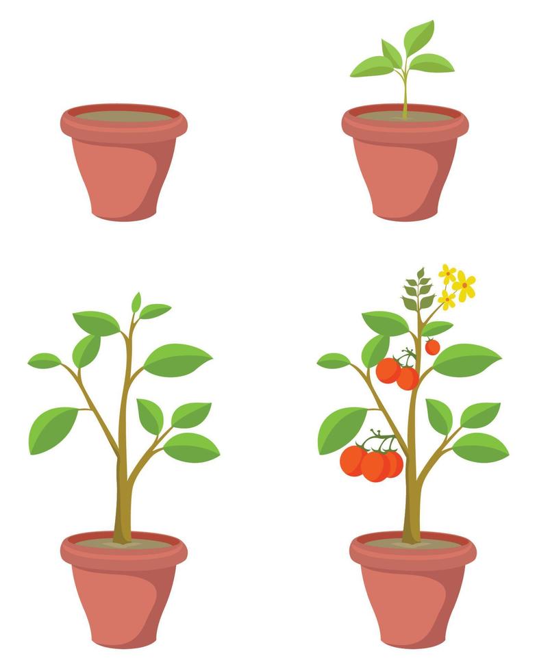 plantes en pots vector clip art ensemble
