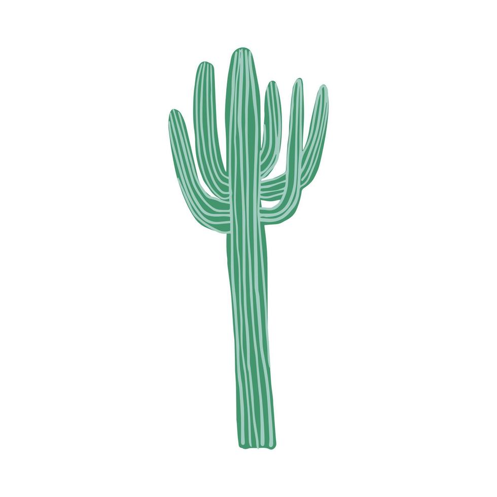 gros cactus dans un style doodle. joli cactus vert épineux. fleur de cactus isolé sur fond blanc. vecteur