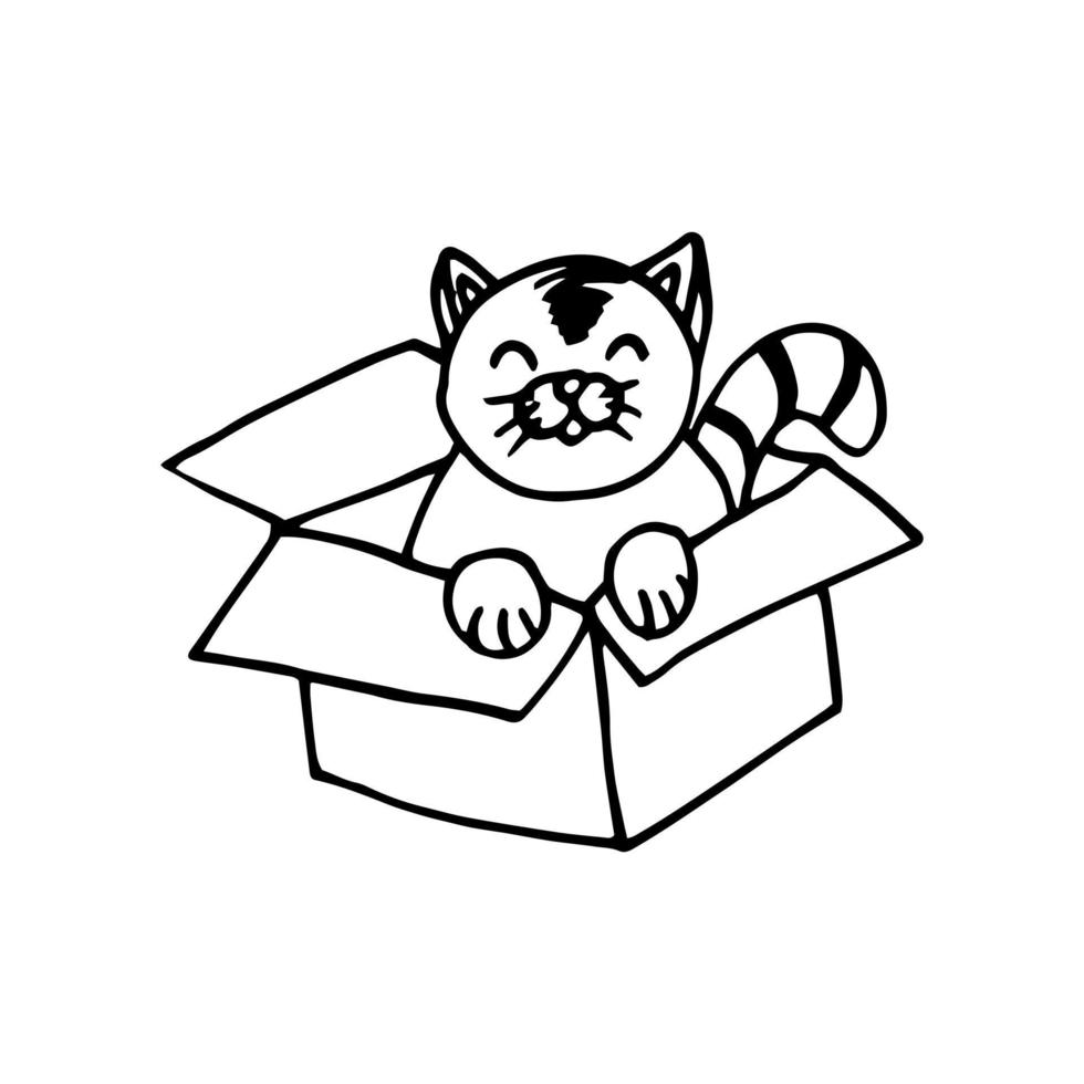 chat dans une boîte en carton dessiné à la main dans un style doodle. , dessin au trait, nordique, scandinave, minimalisme, monochrome. icône, autocollant. vecteur