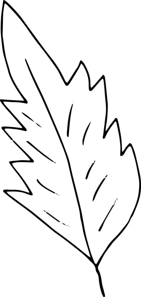 icône de feuilles abstraites. griffonnage dessiné à la main. , scandinave, nordique, minimalisme, monochrome. plante, herbier. vecteur