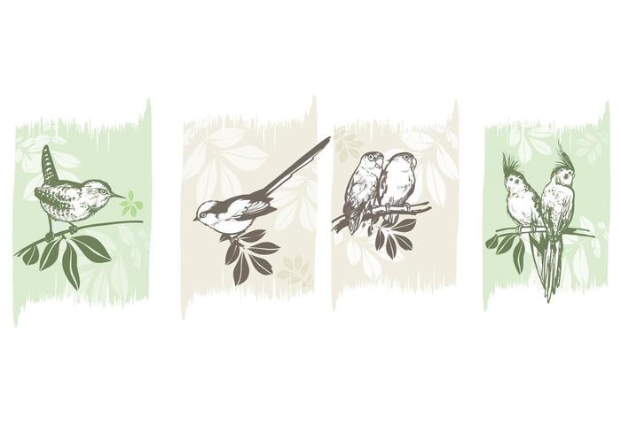 Pack de vecteur oiseaux sur branches