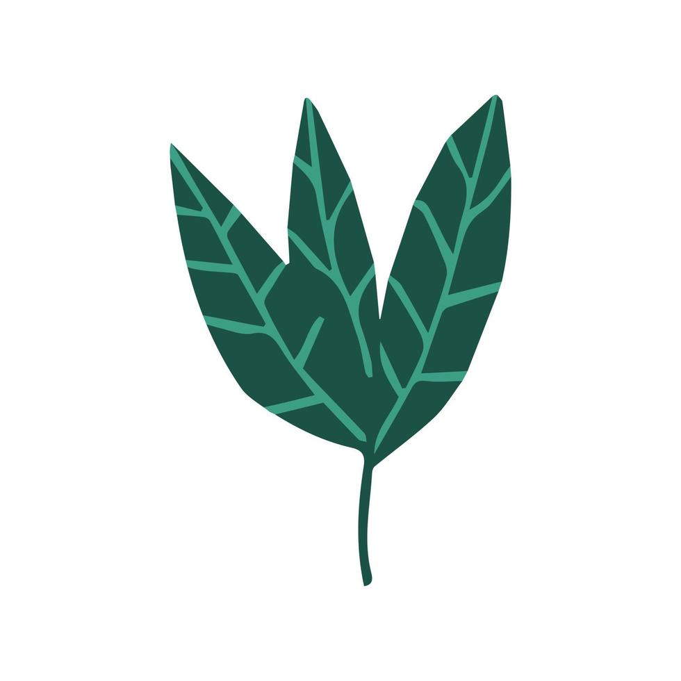 feuilles de légumes dans un style doodle. feuille verte isolée sur fond blanc. vecteur