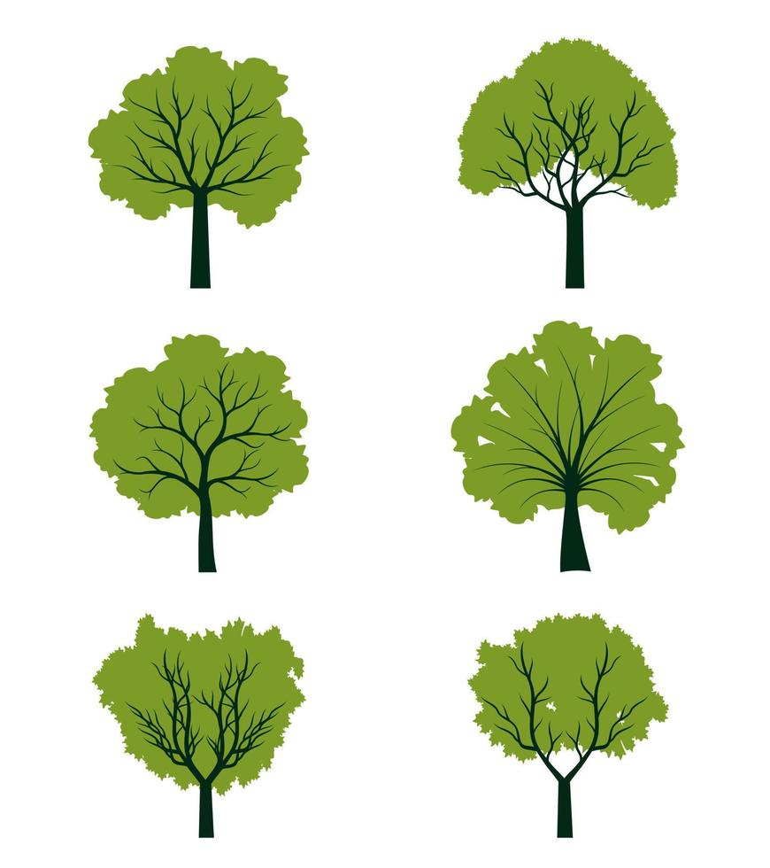 ensemble d'arbres avec des feuilles. illustration de contour de vecteur. planter dans le jardin. vecteur