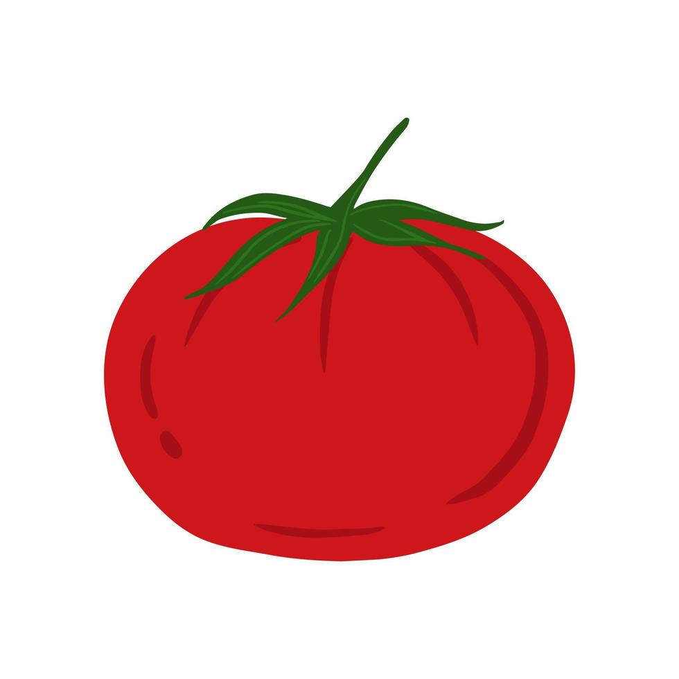 tomate dans un style dessiné à la main isolé sur fond blanc. vecteur