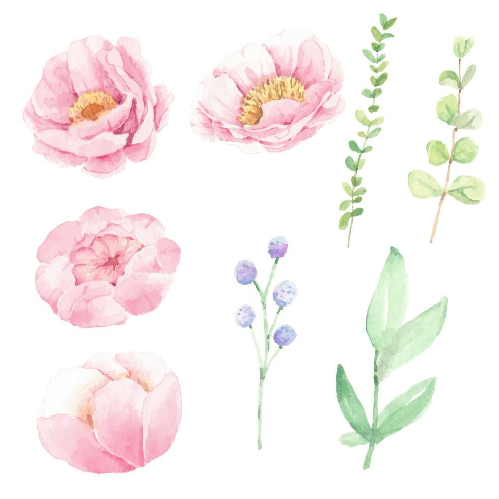 fleur de pivoine rose aquarelle et éléments de feuilles vertes isolés sur fond blanc vecteur