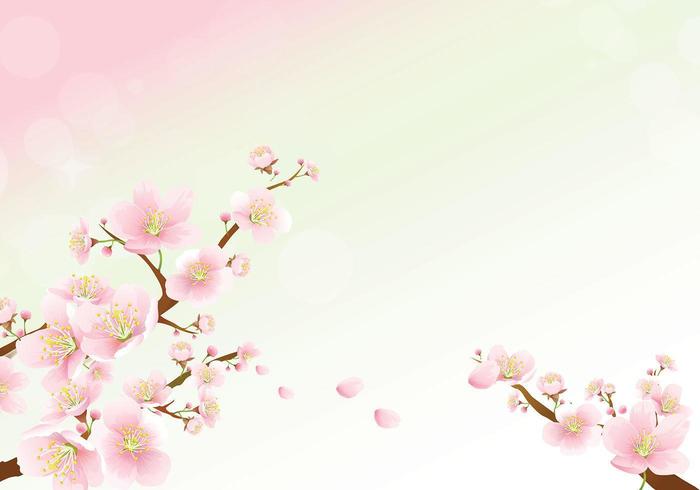 Vecteur de papier peint Cherry Blossom