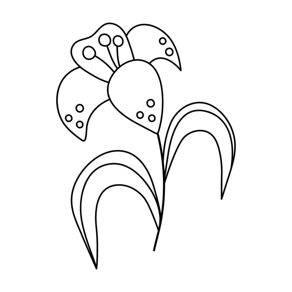 icône de lys noir et blanc de vecteur. illustration de contour de fleur de symbole de pâques ou page de coloriage. clipart floral. jolie plante printanière isolée sur fond blanc. vecteur