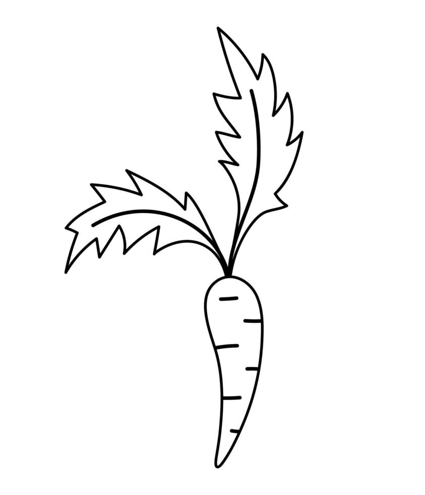 icône de vecteur de carotte noir et blanc. illustration de contour de légume-racine sain ou page de coloriage. clipart alimentaire. jolie plante isolée sur fond blanc.