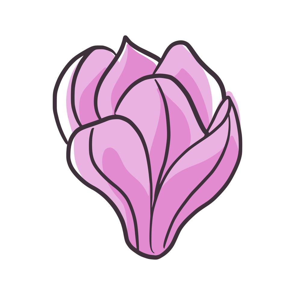 beau rose magnolia japonais isolé sur fond blanc. bourgeon floral printanier dans le style de ligne de doodle pour n'importe quel usage. vecteur