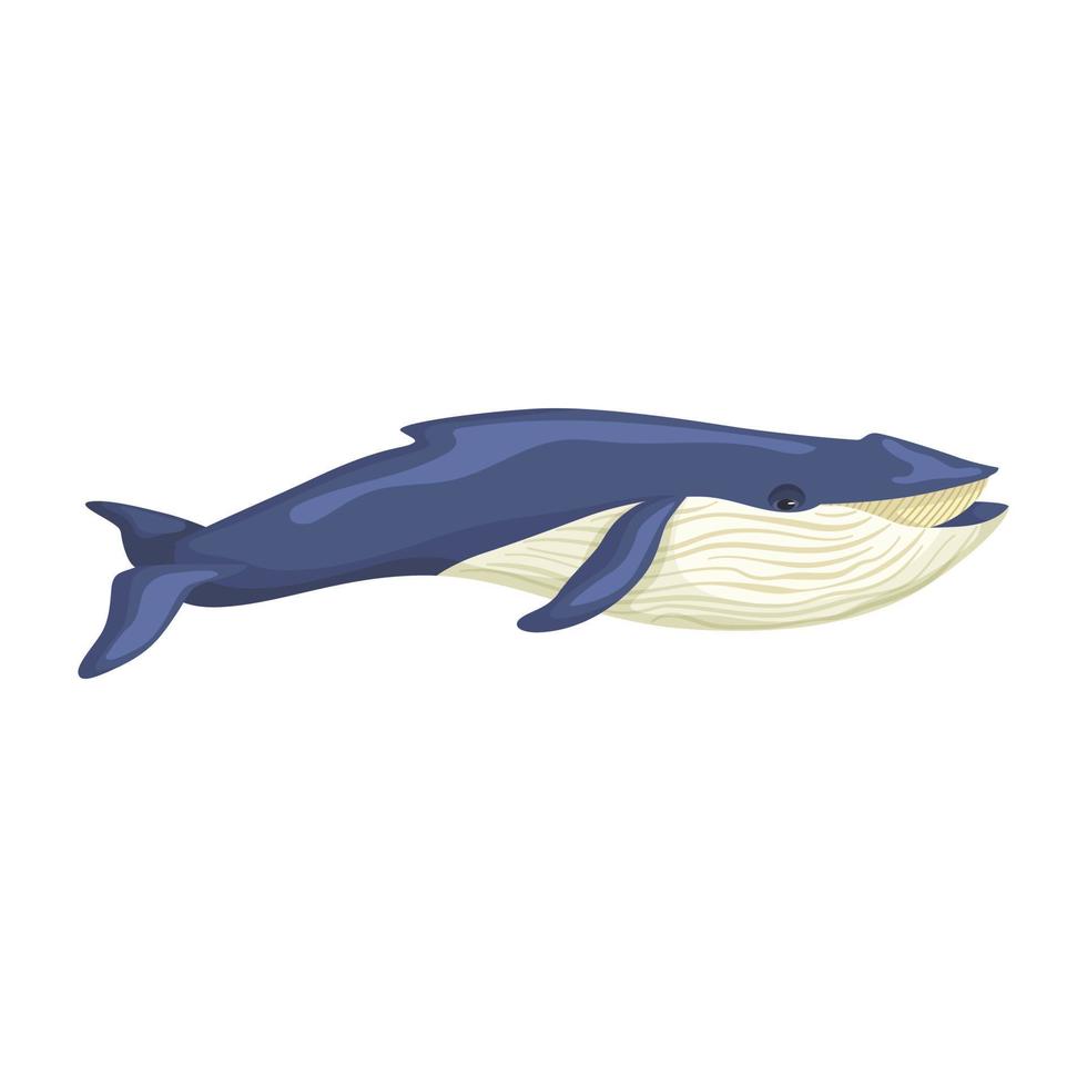 baleine bleue isolée sur fond blanc. personnage de dessin animé de l'océan pour les enfants. impression simple avec mammifère marin. vecteur