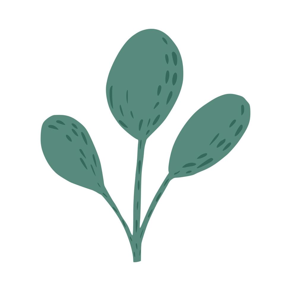 brindille verte avec des feuilles rondes isolées sur fond blanc. croquis botanique dessiné à la main dans le style doodle. vecteur
