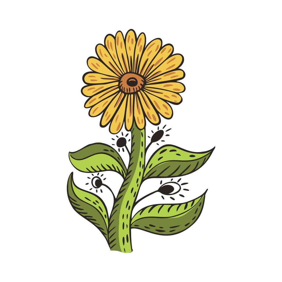 tournesol avec tige et feuilles isolées sur fond blanc. fleur jaune de croquis vintage. vecteur