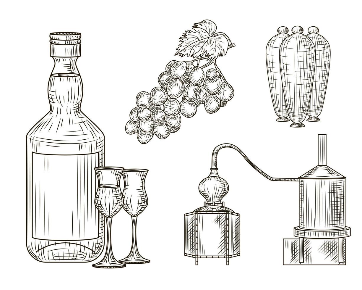 ensemble de pisco. pérou de boisson alcoolisée traditionnelle. bouteille, verre, alambic, raisin, cruche. style vintage gravé vecteur