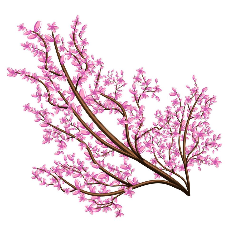 image vectorielle isolée sur fond blanc. branche en fleurs roses. sakura. concept. eps 10 vecteur