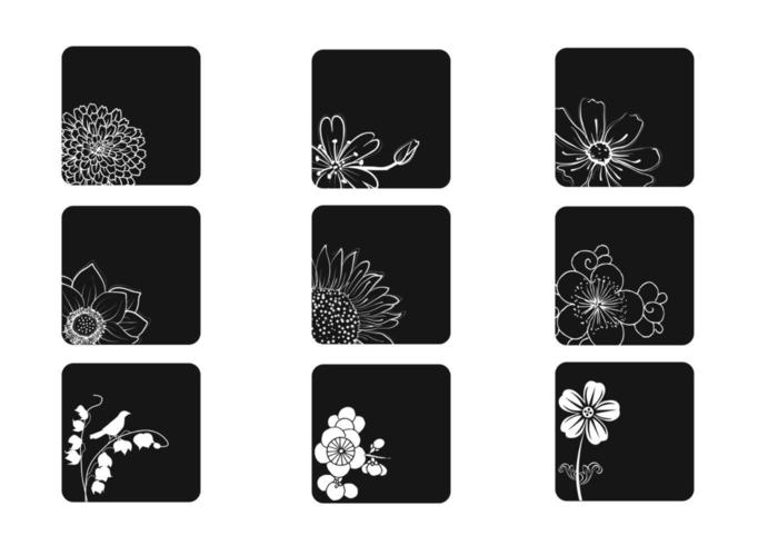 White and Black Flower Vector Pack