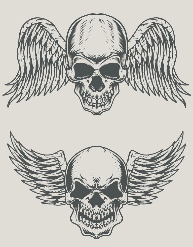 ensemble, illustration, crâne, tête, à, ailes vecteur