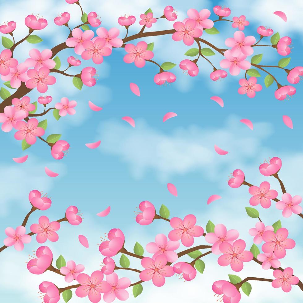 fond printemps fleur de cerisier vecteur