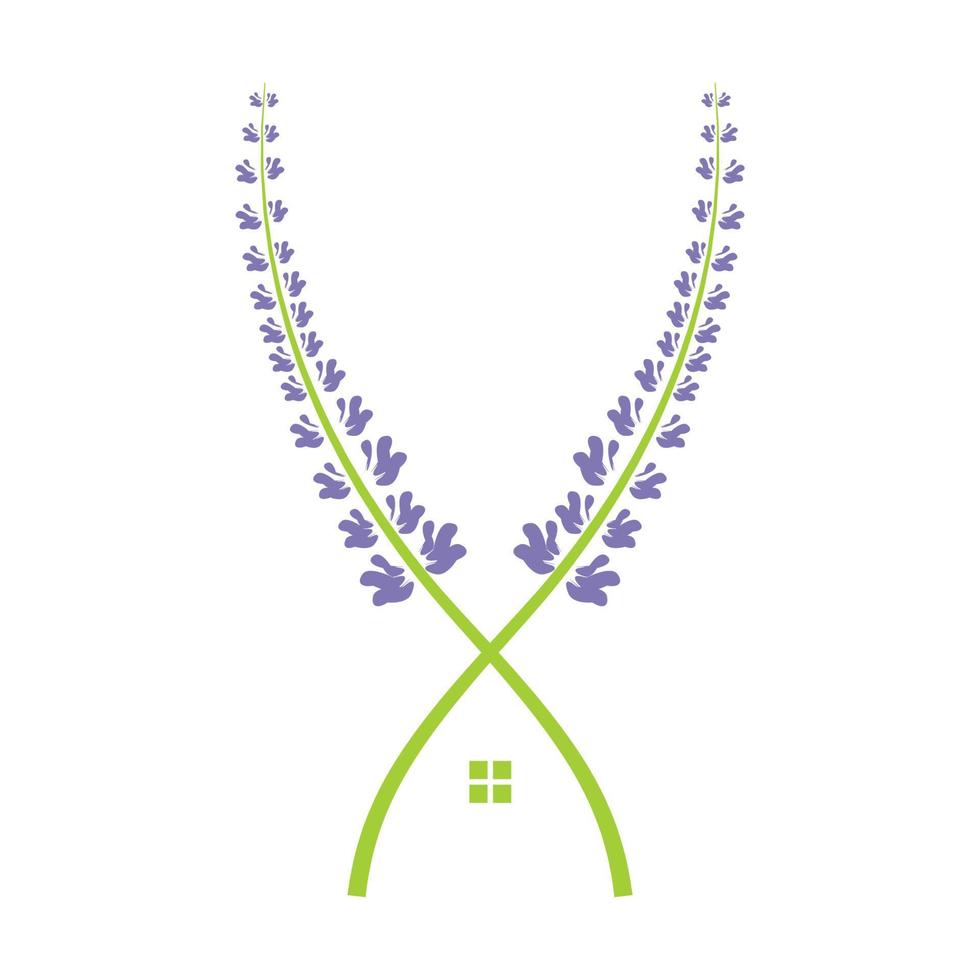 plantes de lavande avec logo maison symbole vecteur icône illustration graphisme