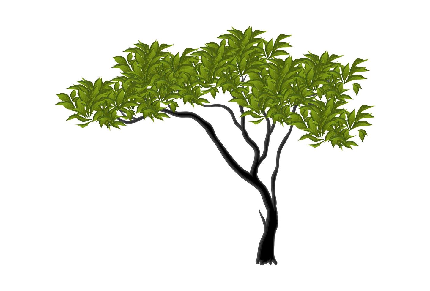 arbre tentaculaire vert réaliste isolé sur fond blanc - vecteur