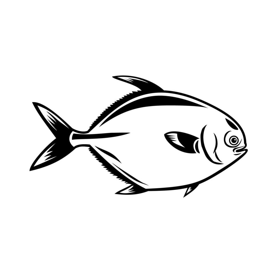 poisson pompano doré ou trachinotus de la famille des carangidés vu de côté mascot retro noir et blanc vecteur