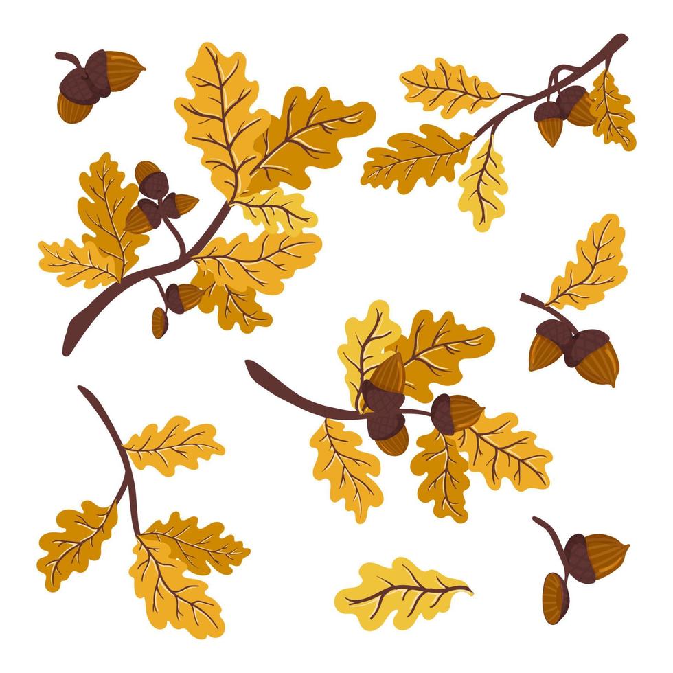 branche de chêne d'automne gingembre, or et jaune avec feuilles et glands. illustration vectorielle d'une branche d'arbre à feuilles caduques chute de feuilles isolée sur fond blanc. vecteur