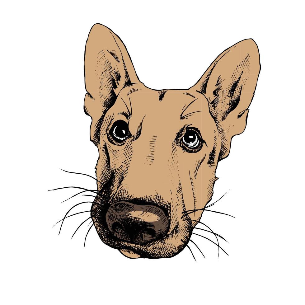 visage de chien de dessin animé vecteur