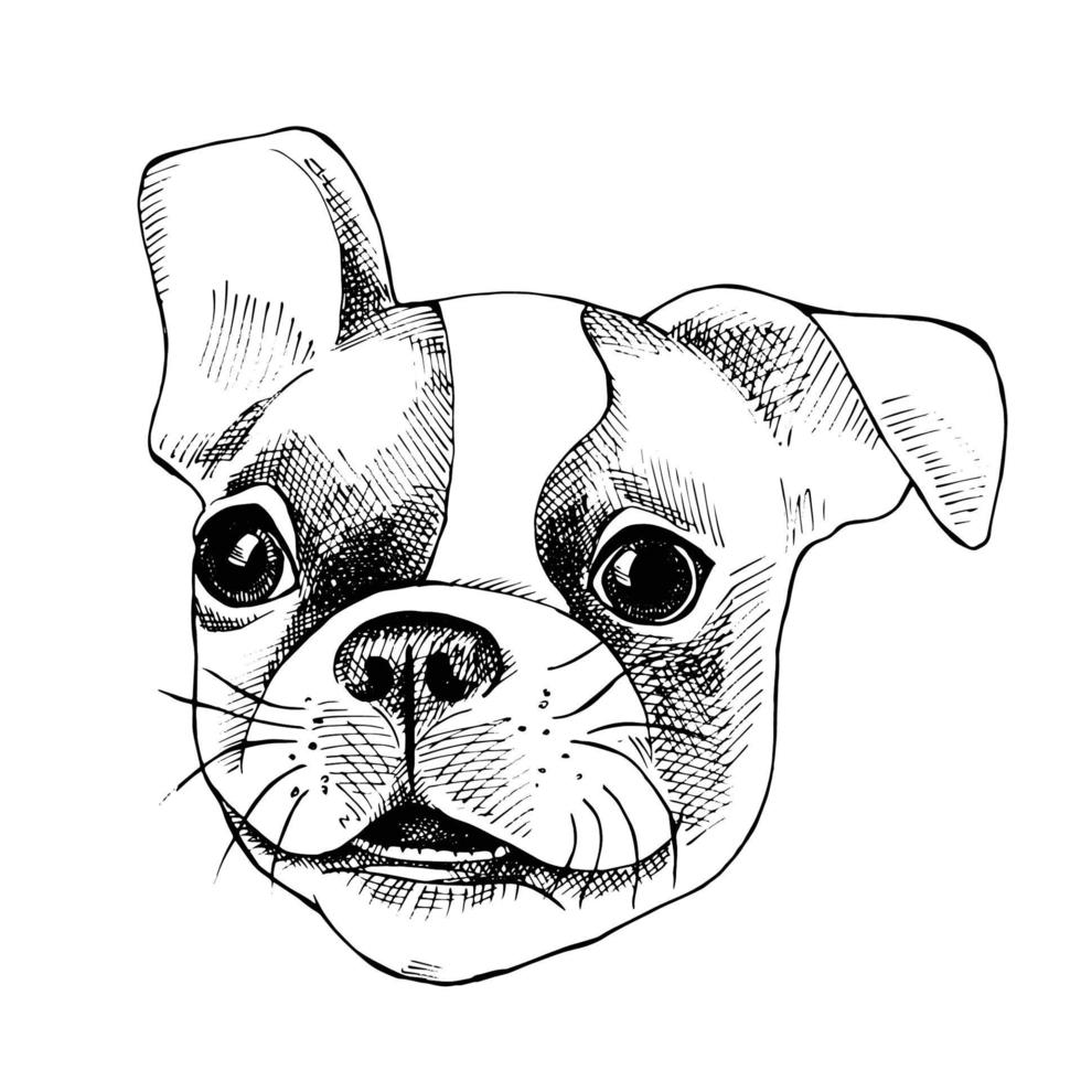 visage de chien de dessin animé vecteur