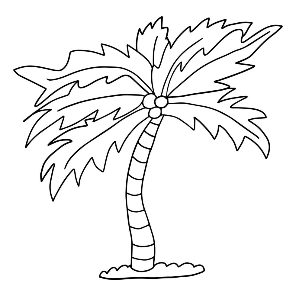 dessin animé mignon doodle palmier linéaire isolé sur fond blanc. croquis d'arbre exotique. vecteur