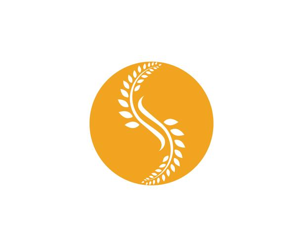 Modèle de logo de blé de l&#39;agriculture, conception de la vie saine logo vector icon