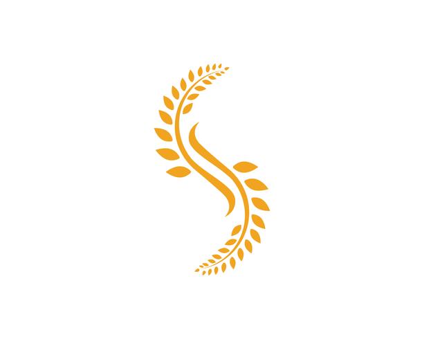 Modèle de logo de blé de l&#39;agriculture, conception de la vie saine logo vector icon