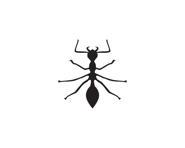 Conception de fourmi Logo template vector illustration