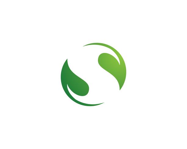 feuille verte nature logo et symbole modèle vecteur