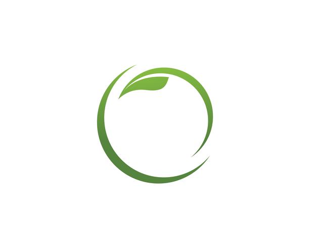 feuille verte nature logo et symbole modèle vecteur