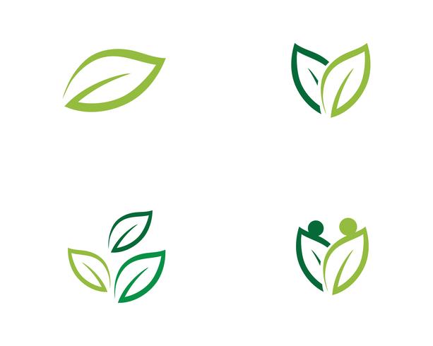 Logos du vecteur d&#39;élément nature feuille verte écologie