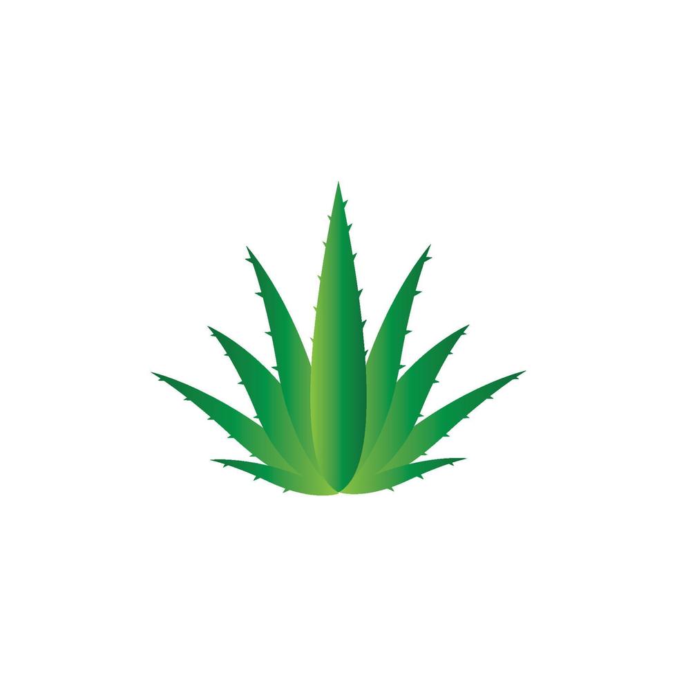 modèle d'illustration vectorielle logo aloe vera vecteur