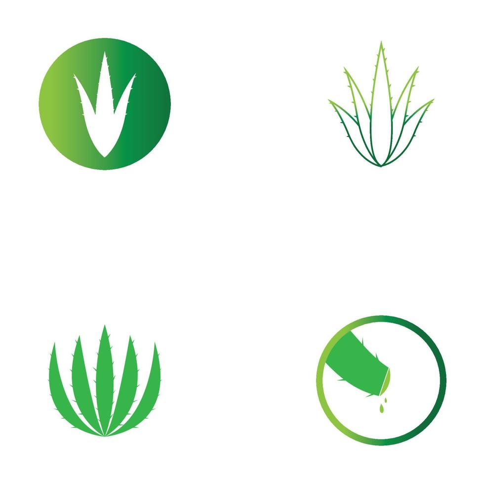 modèle d'illustration vectorielle logo aloe vera vecteur