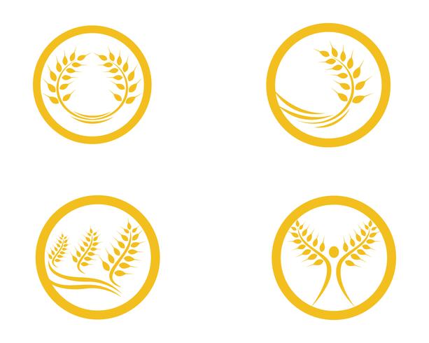 Blé de l&#39;agriculture Logo Template vector icon design