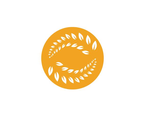 agriculture riz nourriture logo logo et symboles modèle icônes vecteur