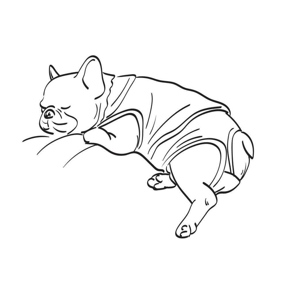 bouledogue avec tissu dormir illustration vecteur dessiné à la main isolé sur fond blanc dessin au trait.