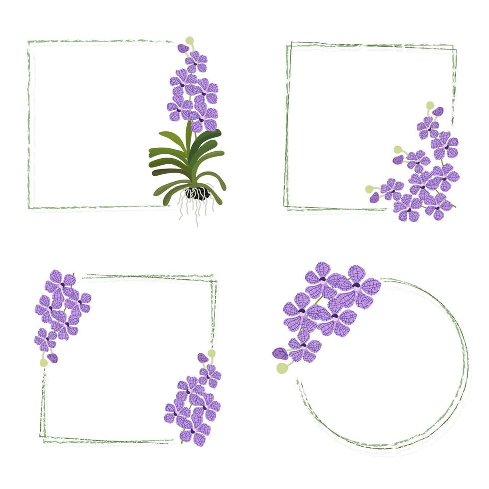 collection de cadres de couronne de bouquet de vanda violet minimal isolée sur fond blanc vecteur