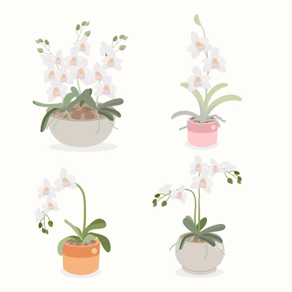 collection de plantes en pot de fleur d'orchidée blanche style plat isolé sur fond blanc vecteur