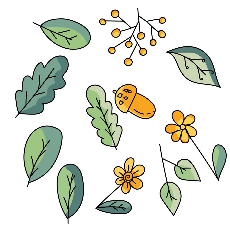 éléments végétaux de doodle, fleurs colorées, feuilles et baies, illustration vectorielle de dessin à la main fantastique vecteur